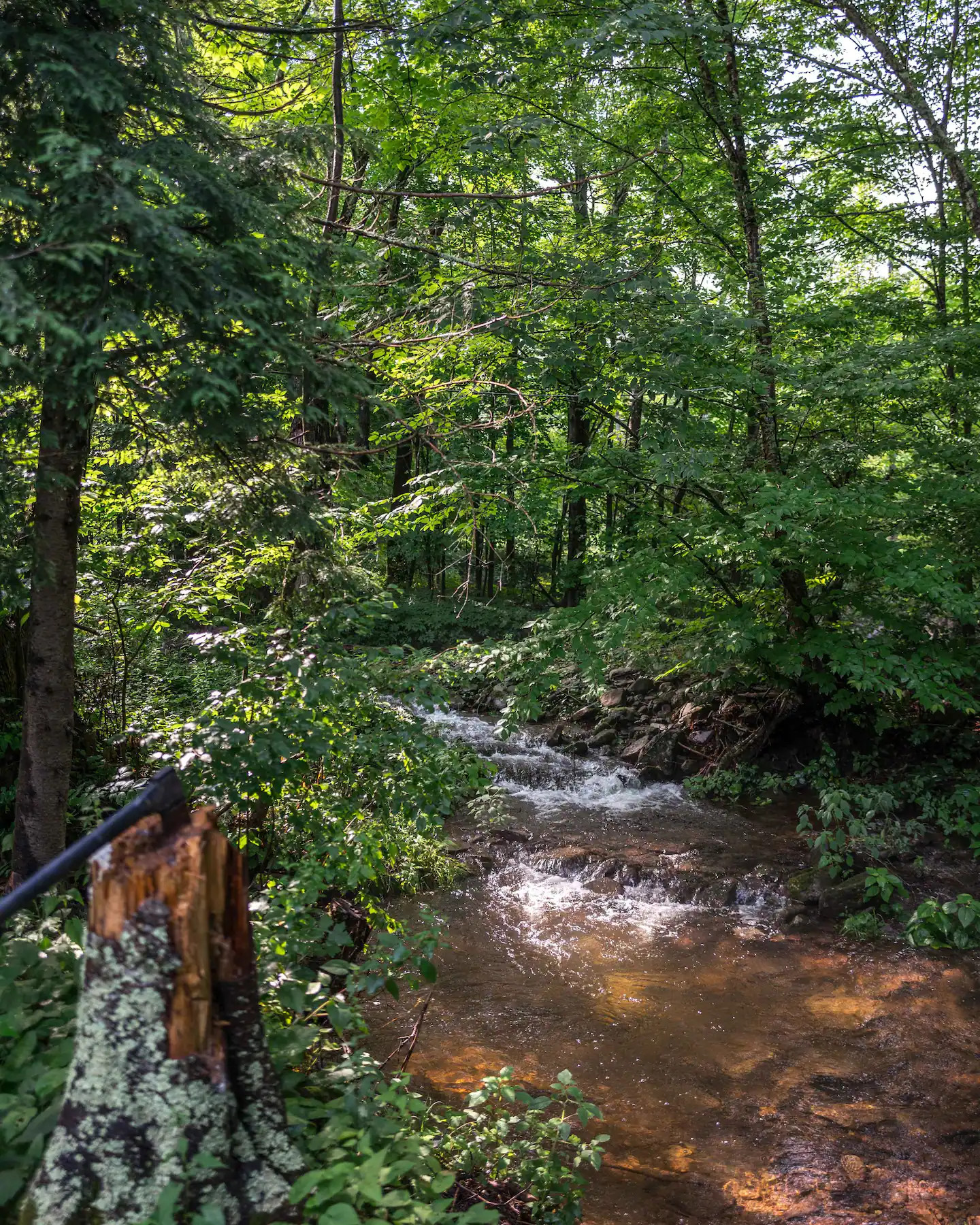 rivière et sous bois rivière et sous bois