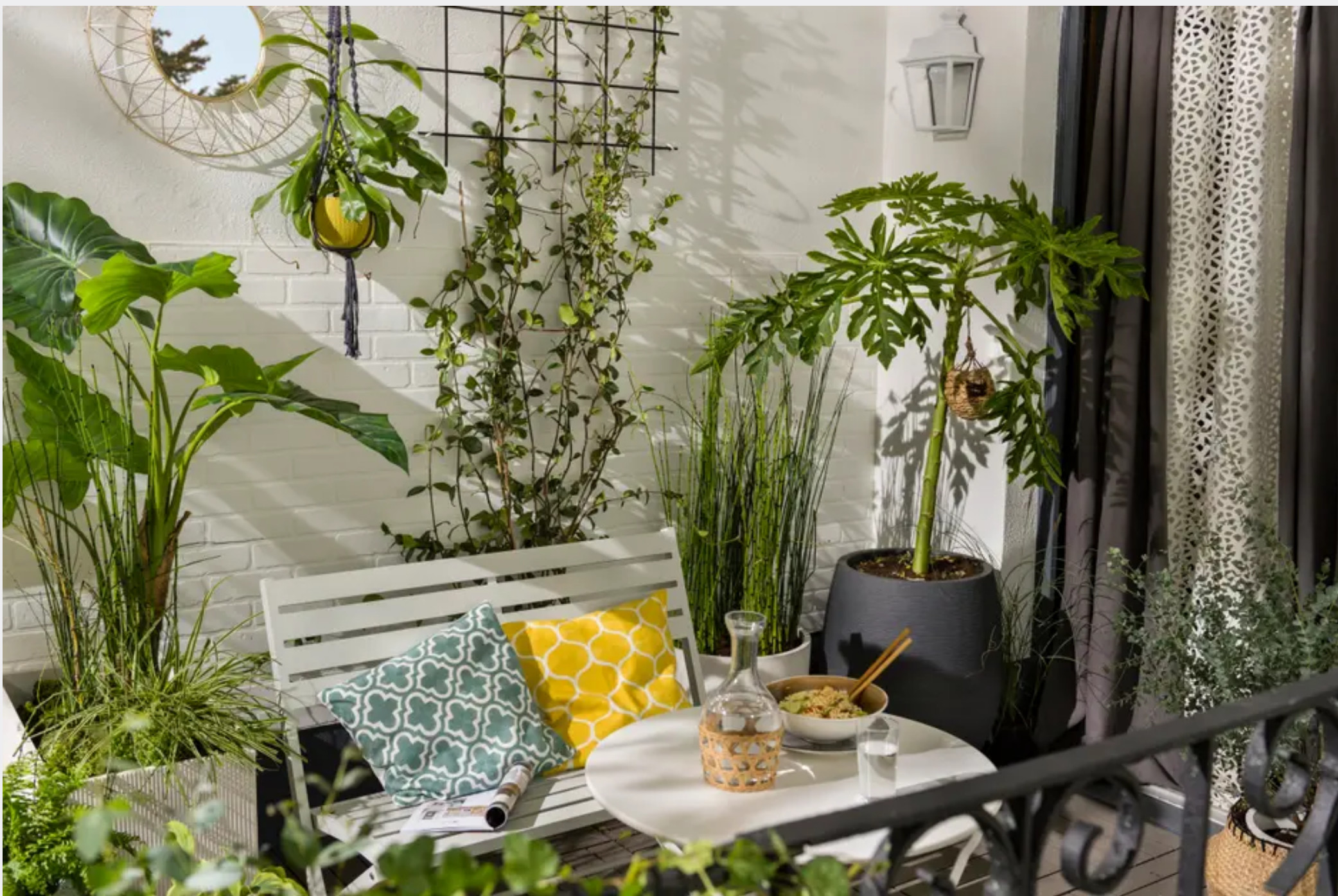 balcon aménagé avec plantes