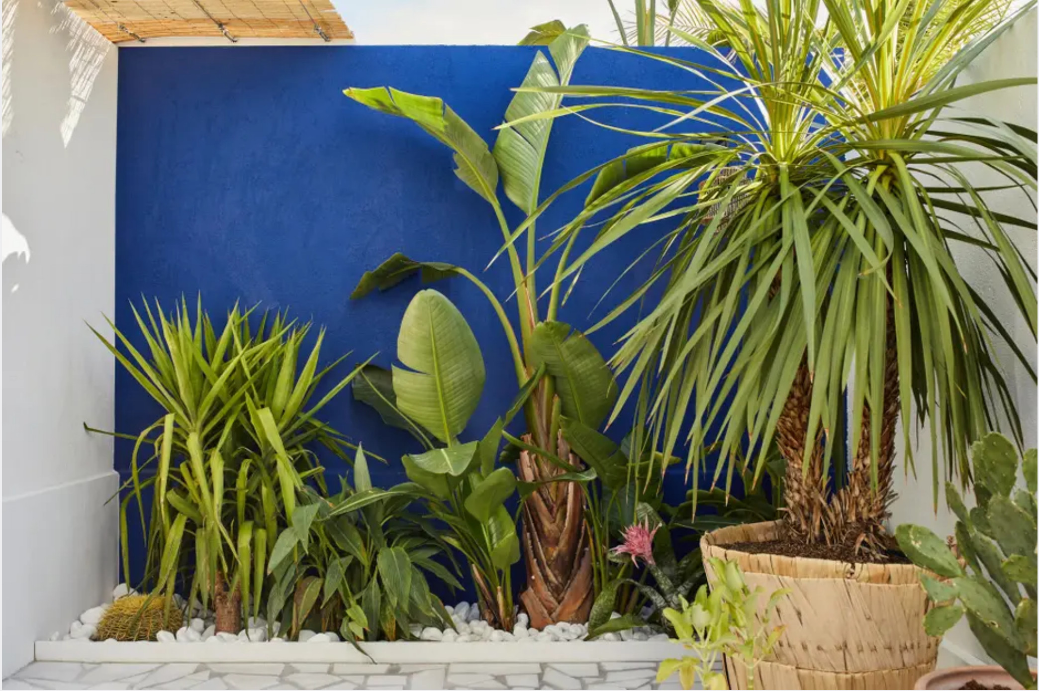 patio aménagé avec mobilier rotin