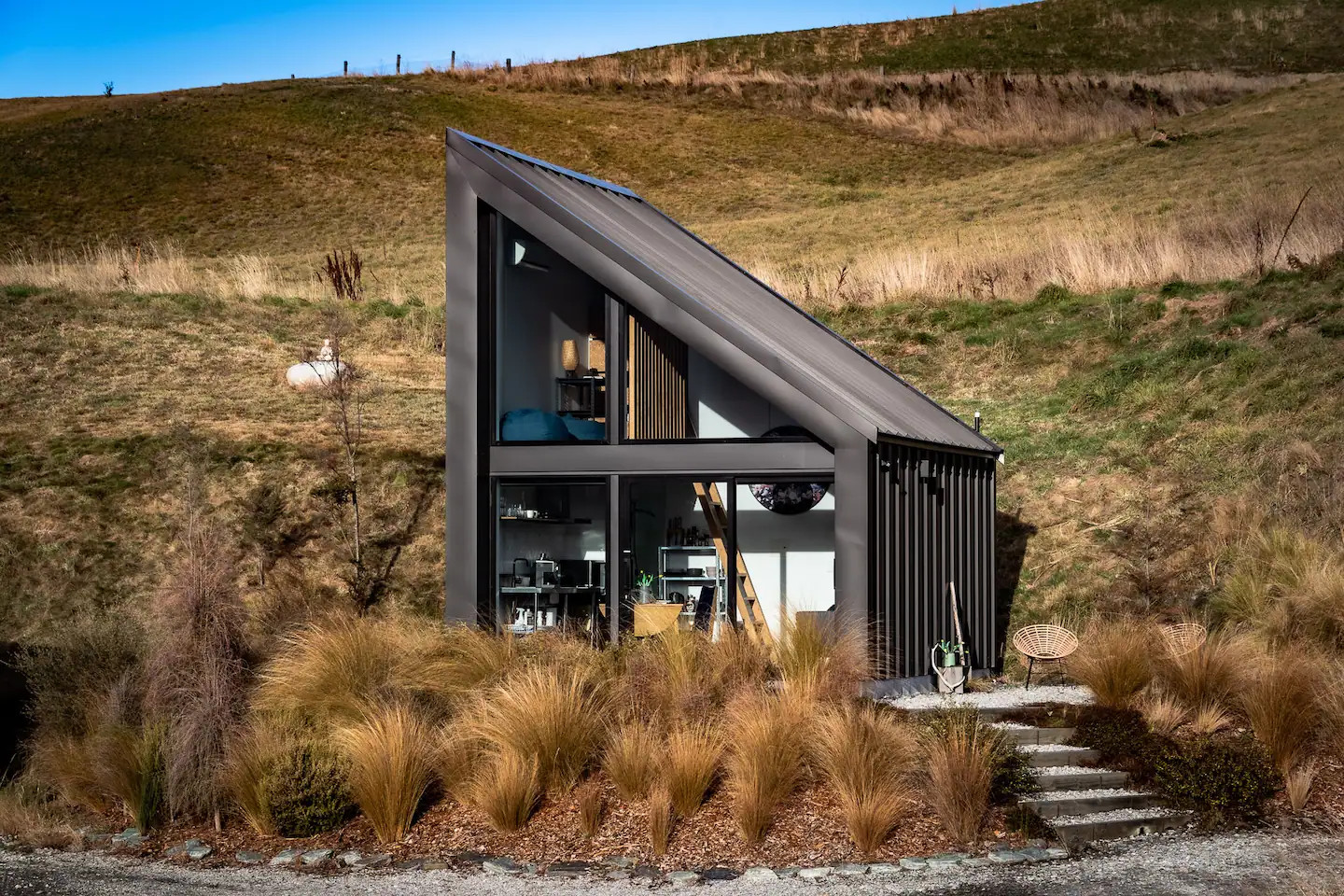 NZ01