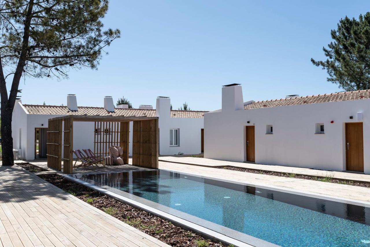 jardin avec pergola bois et piscine jardin avec pergola bois et piscine