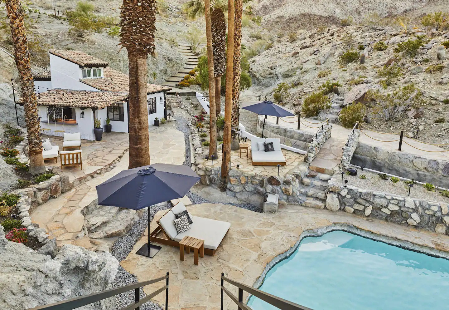 terrasse avec piscine et palmiers