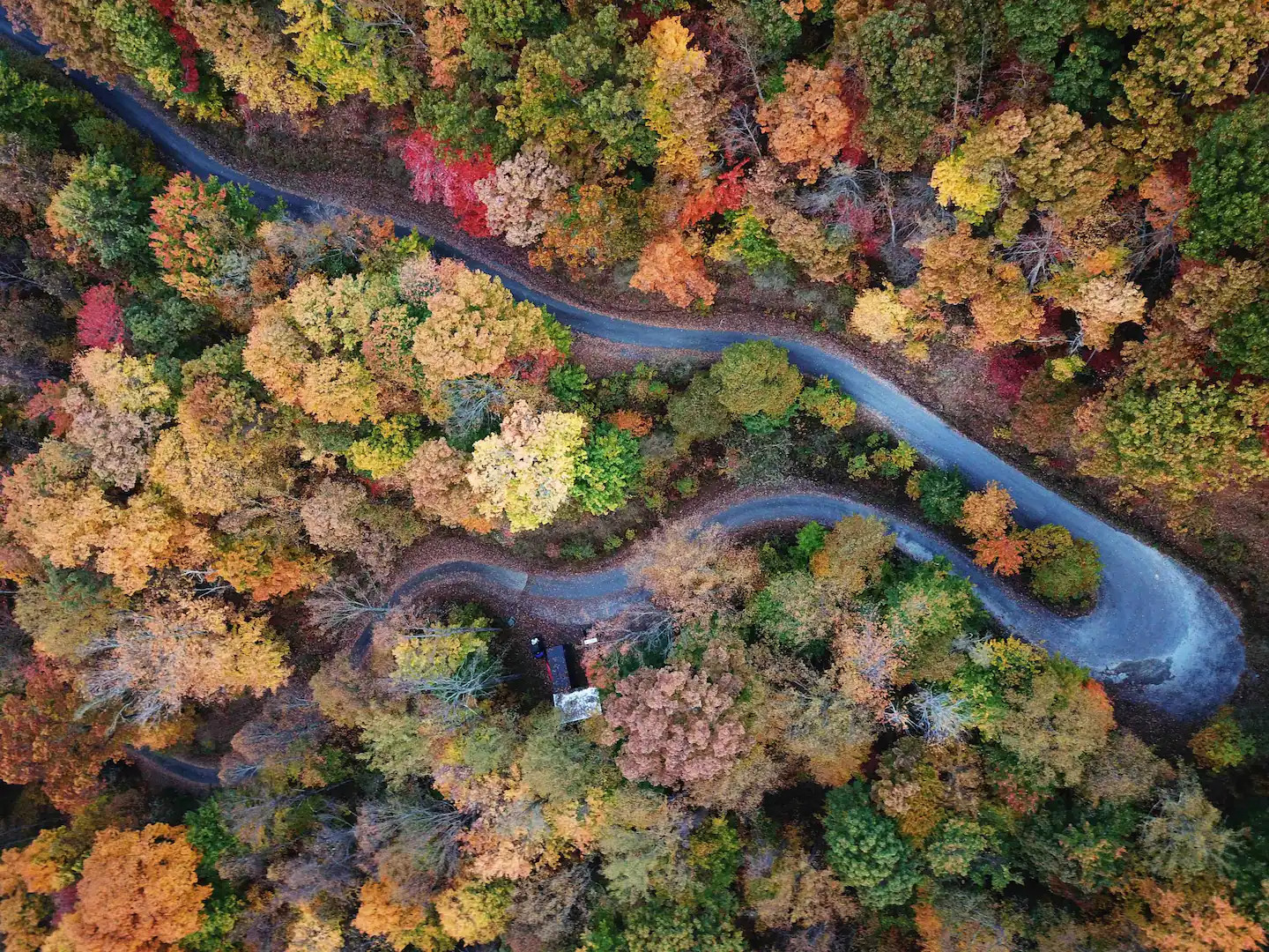 vue aérienne maison dans les bois vue aérienne maison dans les bois