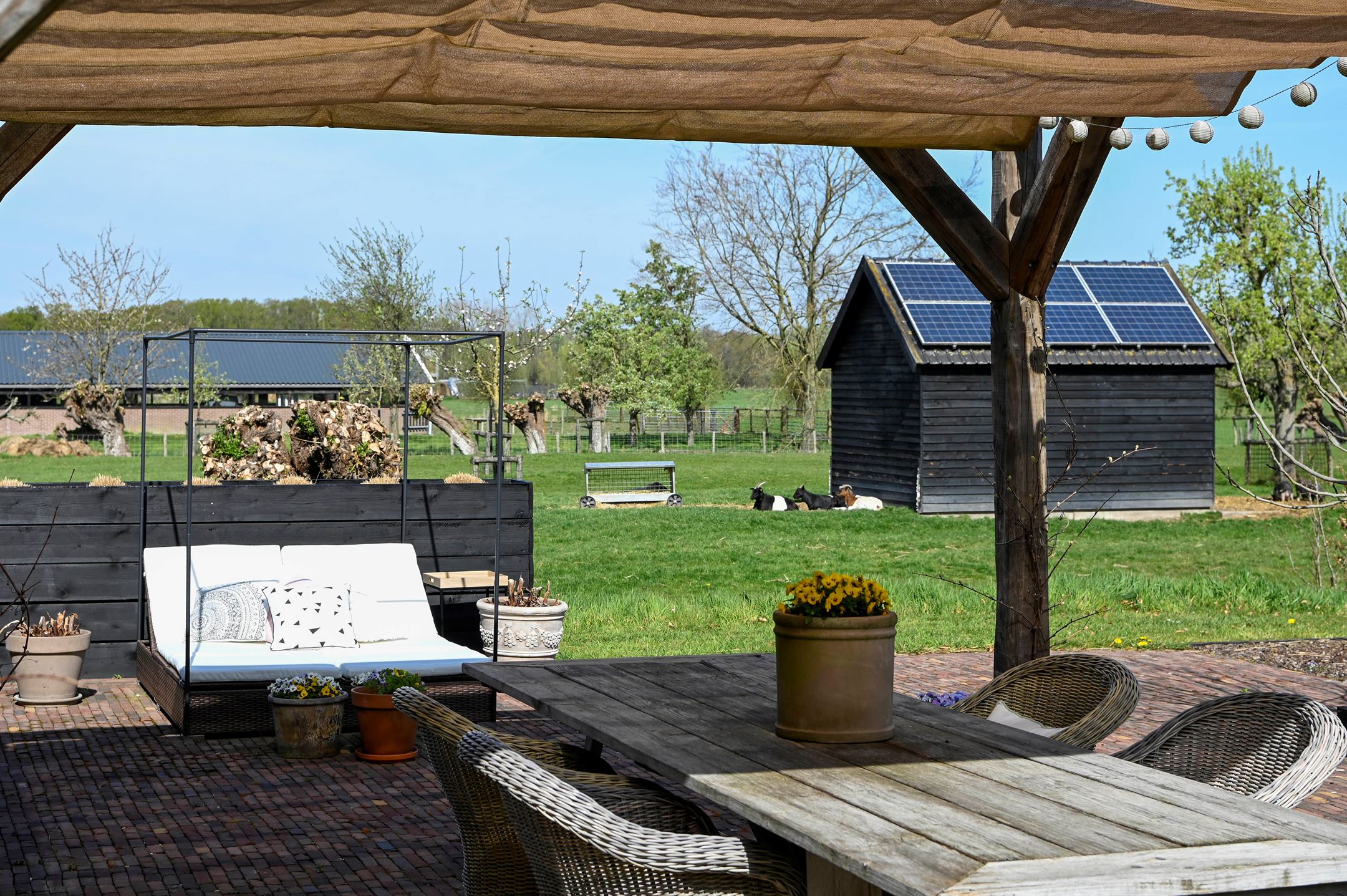 terrasse et pergola bois terrasse et pergola bois