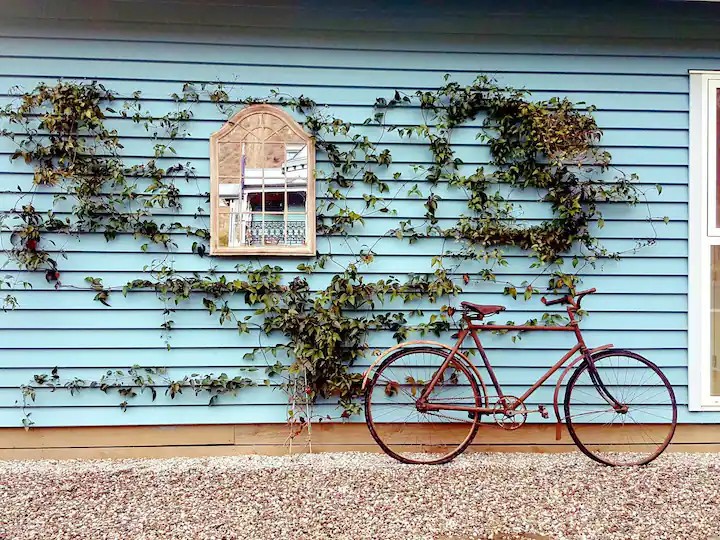façade maison bleue en bois