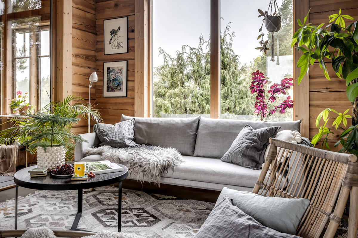 salon maison en bois