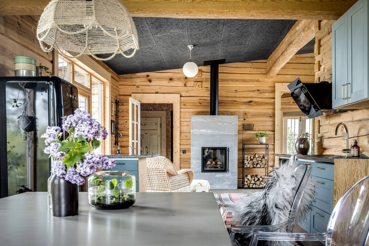 salon avec cheminée maison en bois