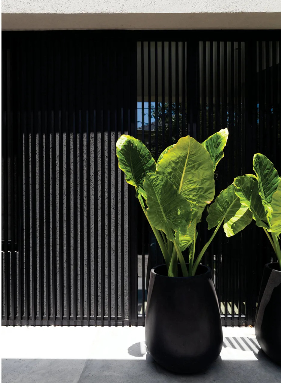 pots à plantes noir grand format