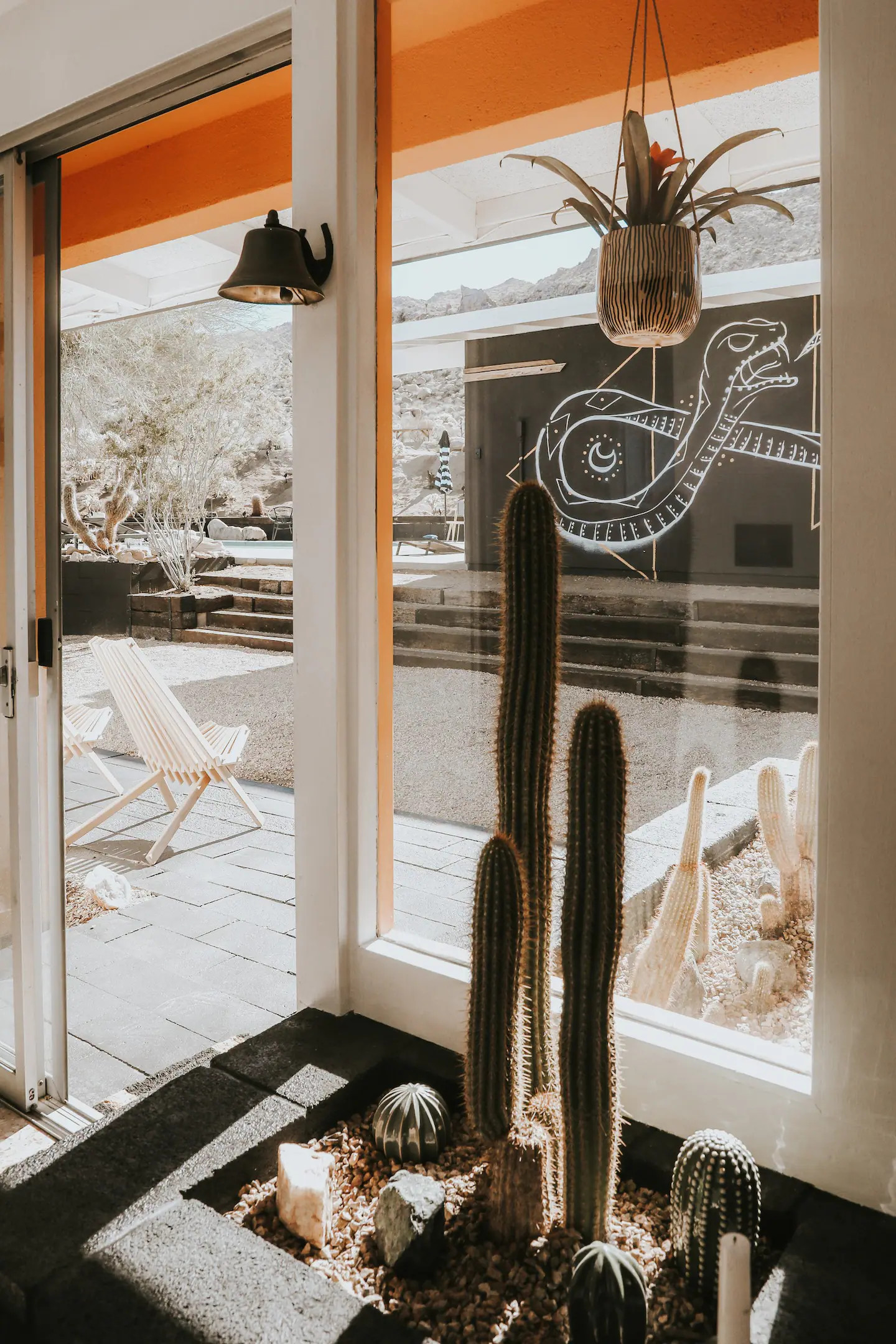 entrée avec cactus