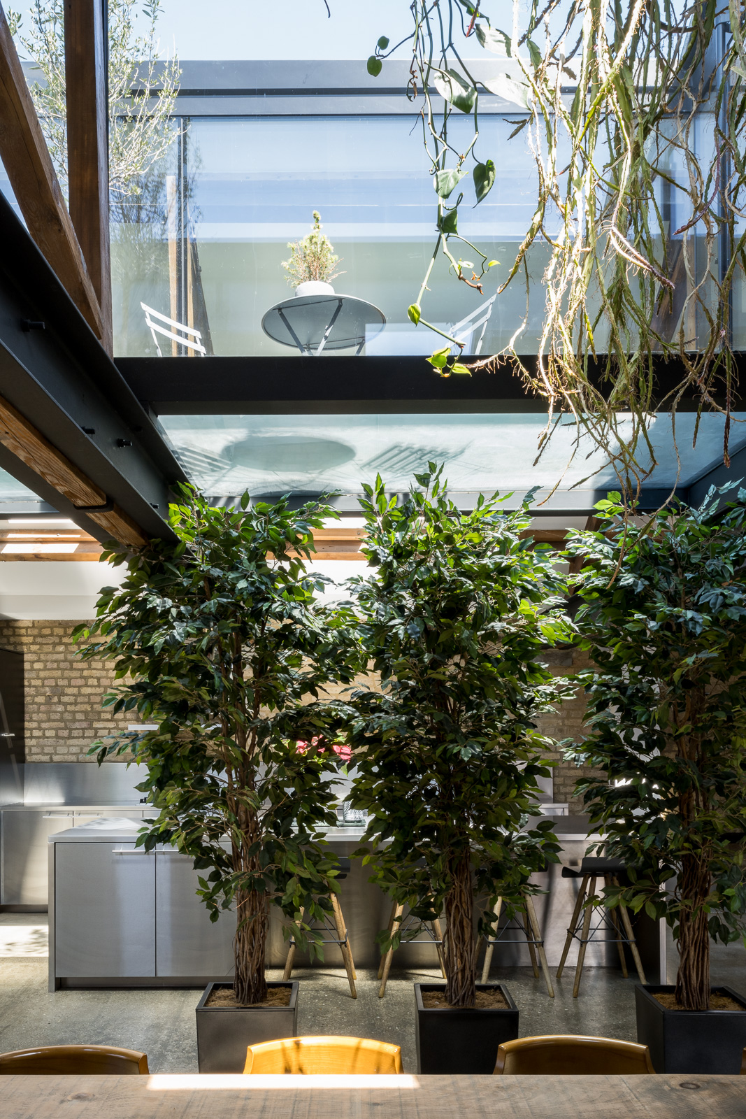 salon avec plantes