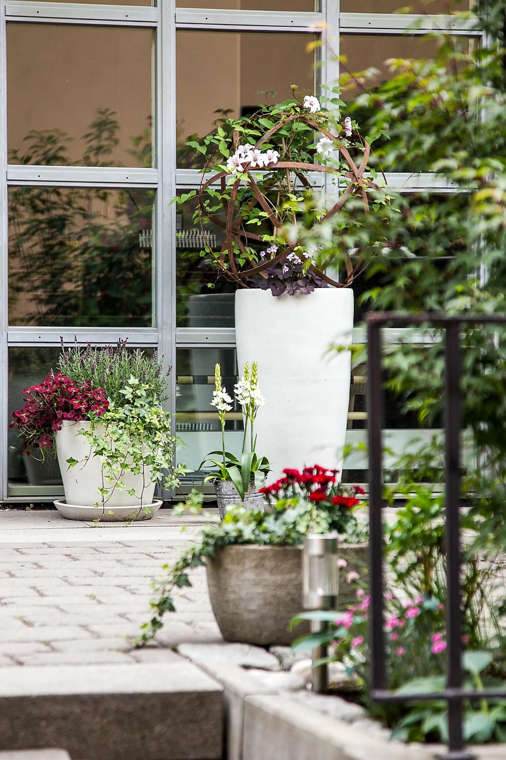 jardin avec plantes en pot jardin avec plantes en pot