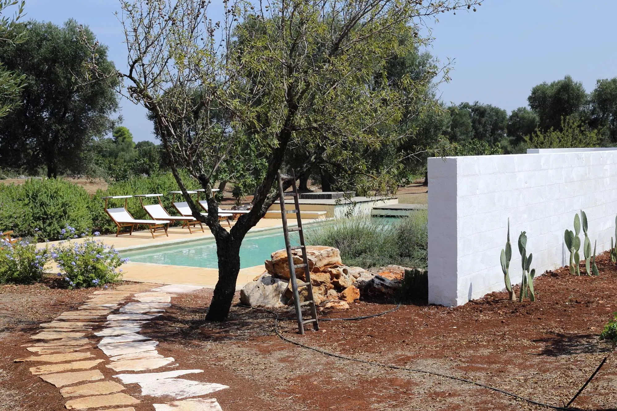 jardin avec piscine maison rénovée Pouilles jardin avec piscine maison rénovée Pouilles