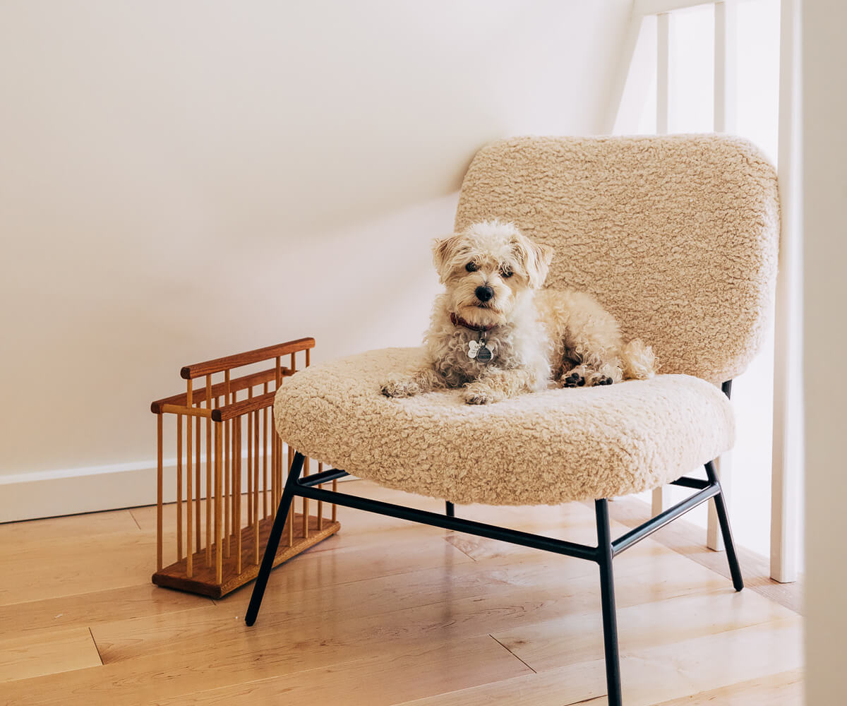 fauteuil bouclé