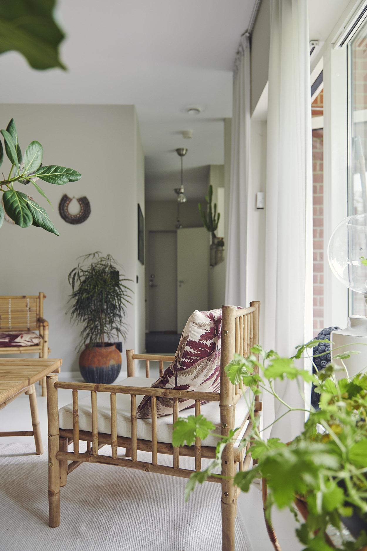 salon décoration naturelle
