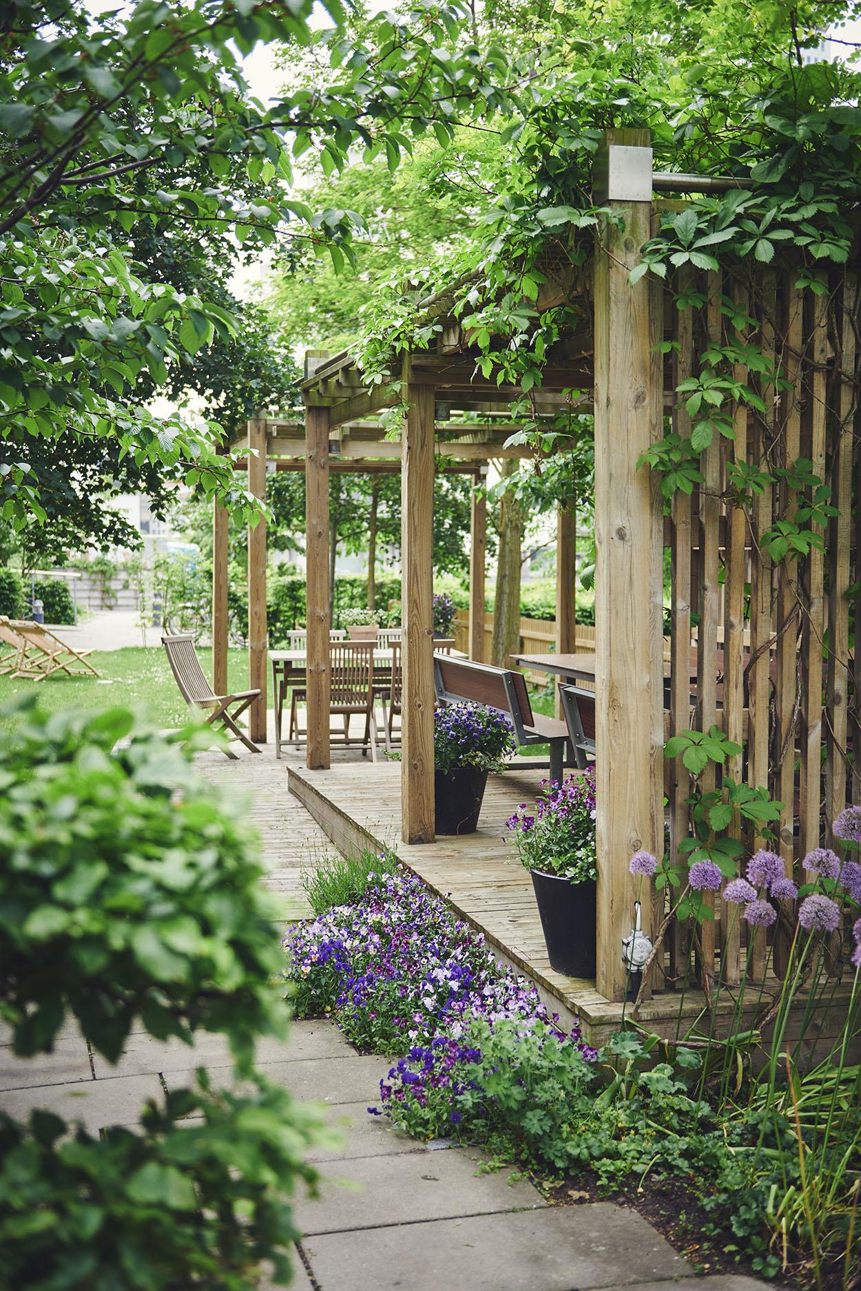grand jardin de ville avec pergola bois