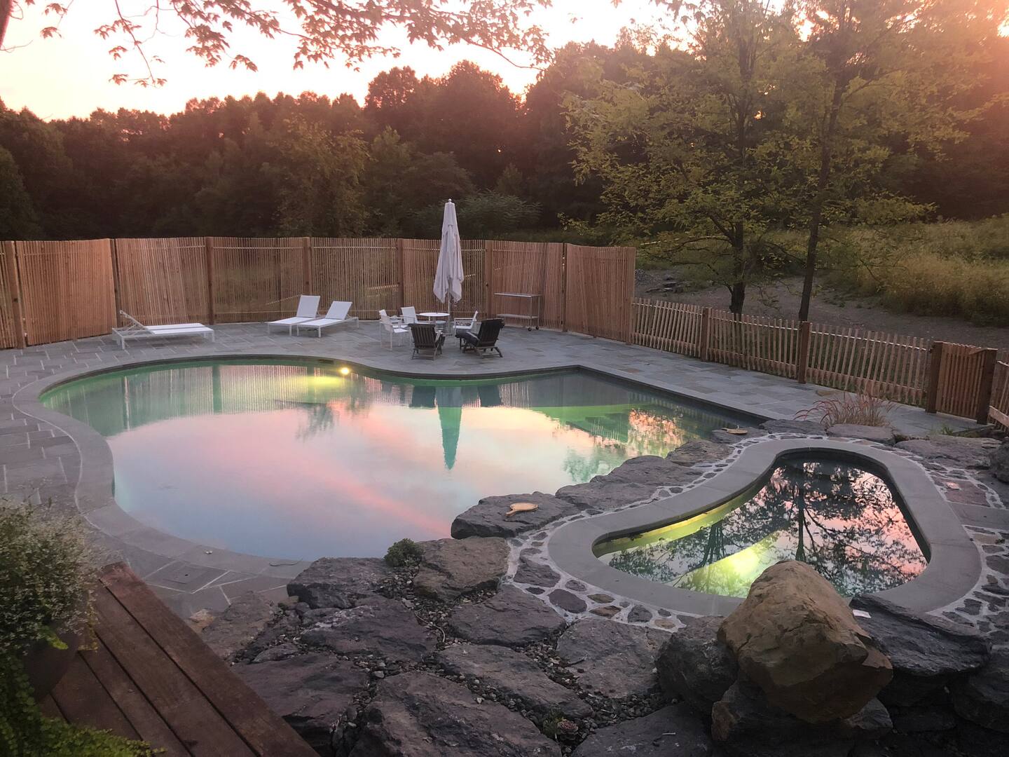 piscine haricot piscine haricot