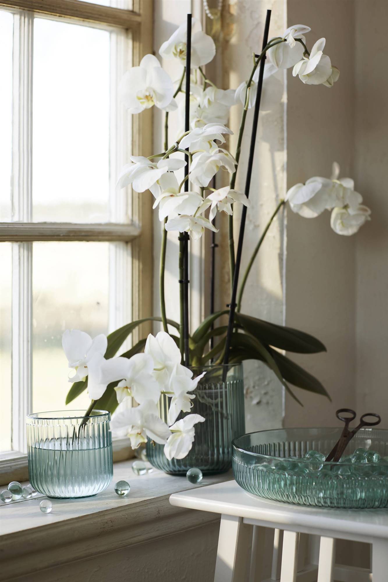 vase en verre strié vase en verre strié