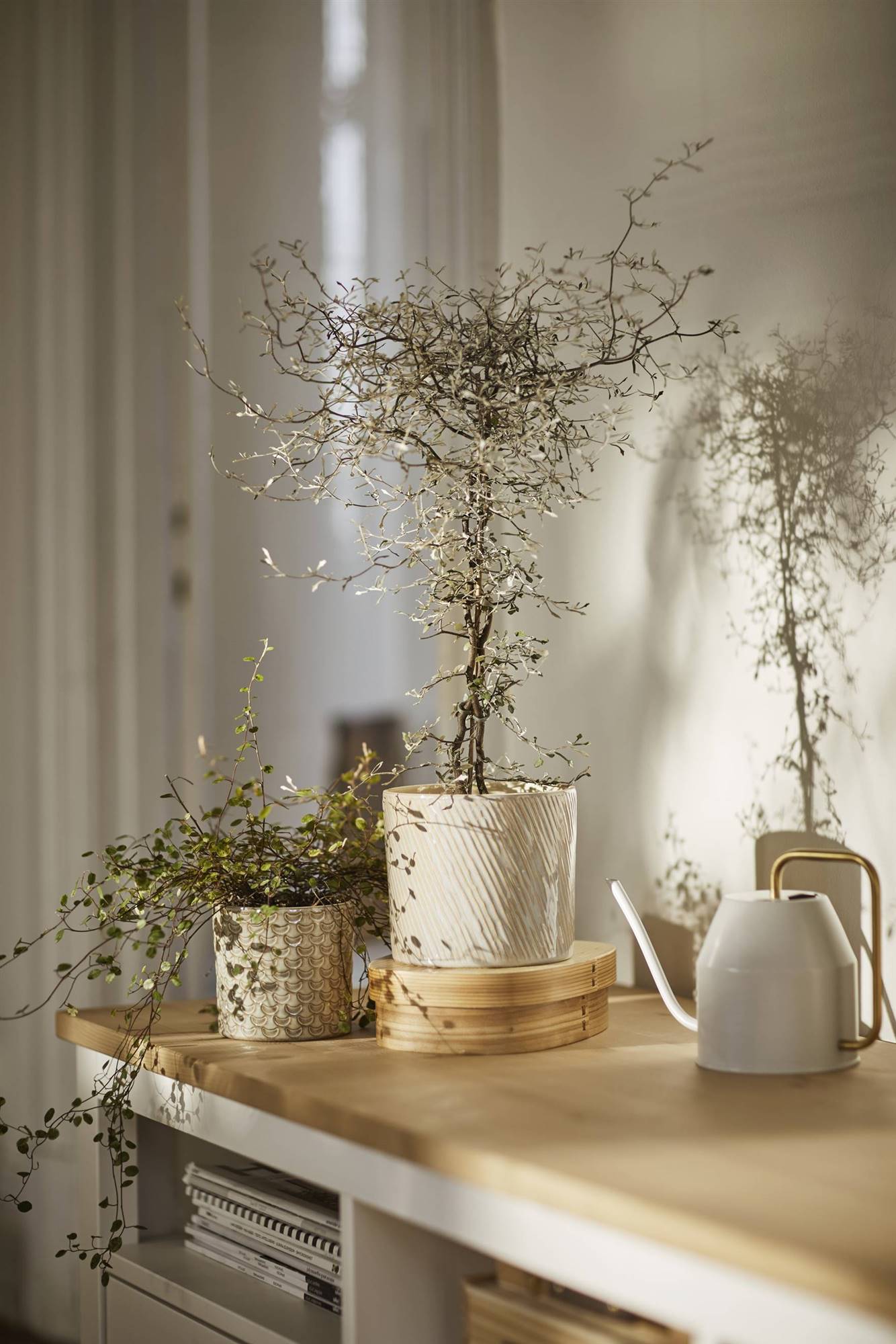 cache pot terre cuite cache pot terre cuite