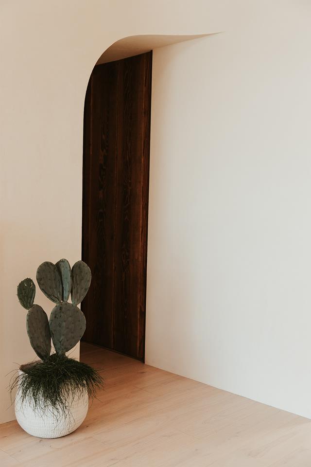 entrée avec cactus