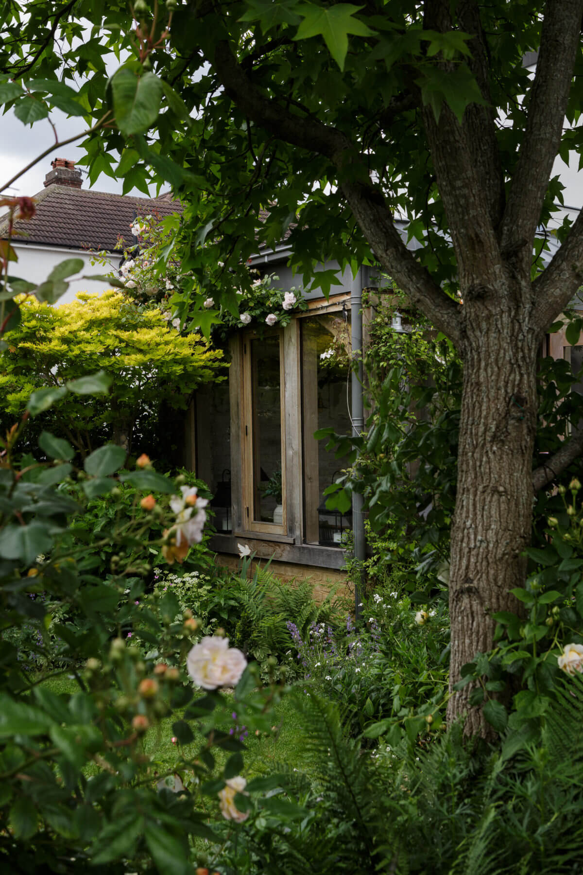 jardin verdoyant jardin verdoyant