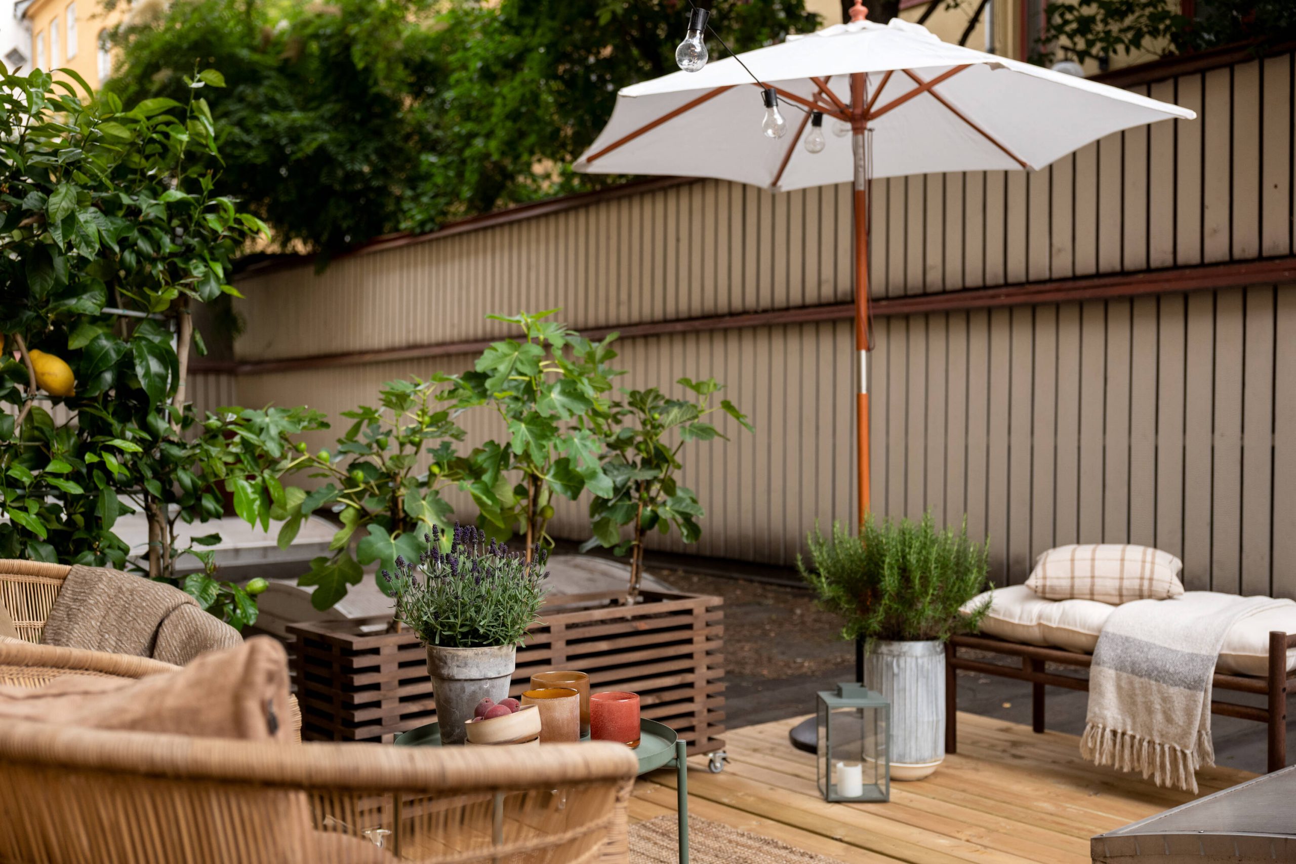 terrasse esprit du sud