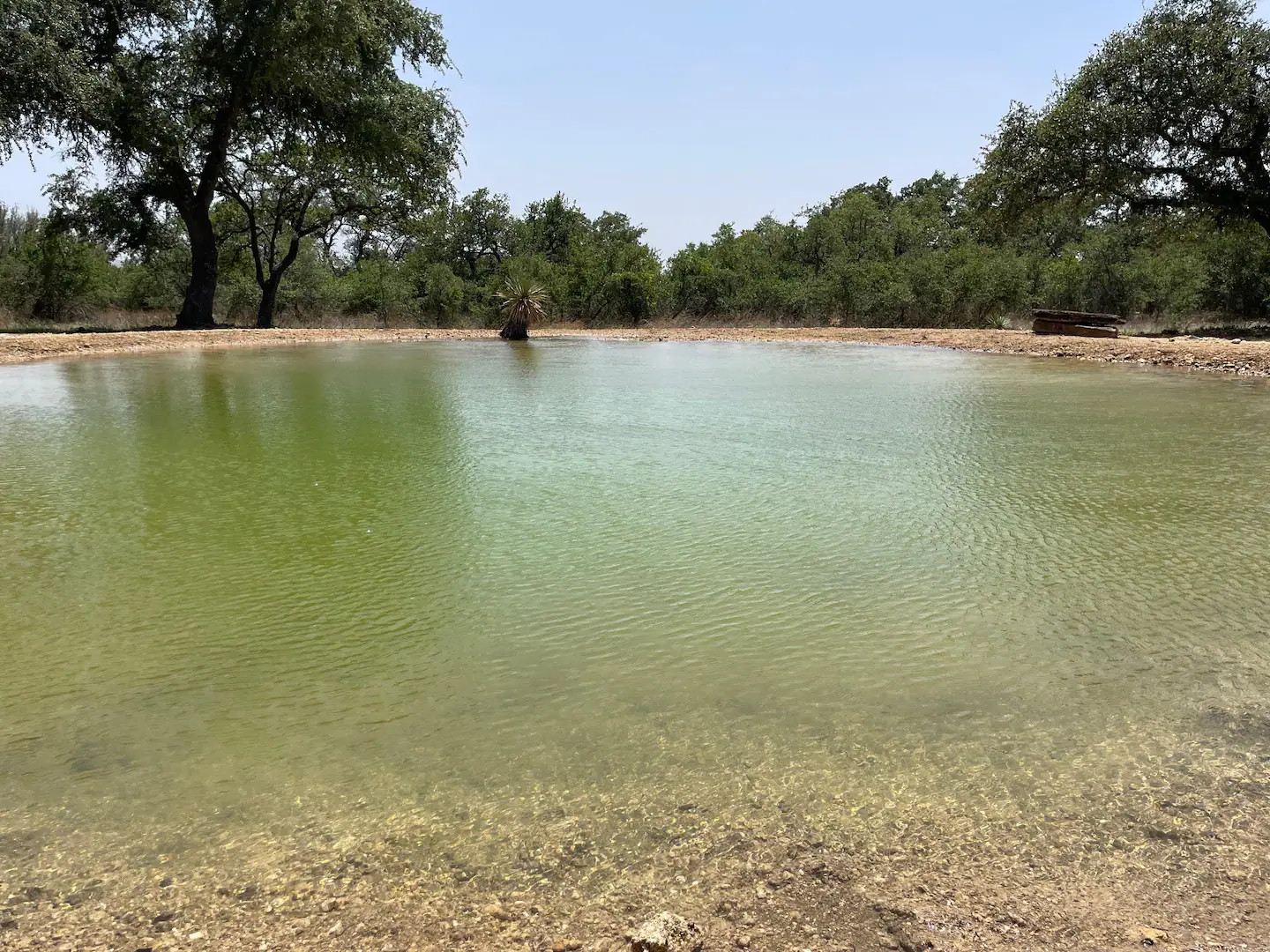 jardin avec baignade naturelle jardin avec baignade naturelle