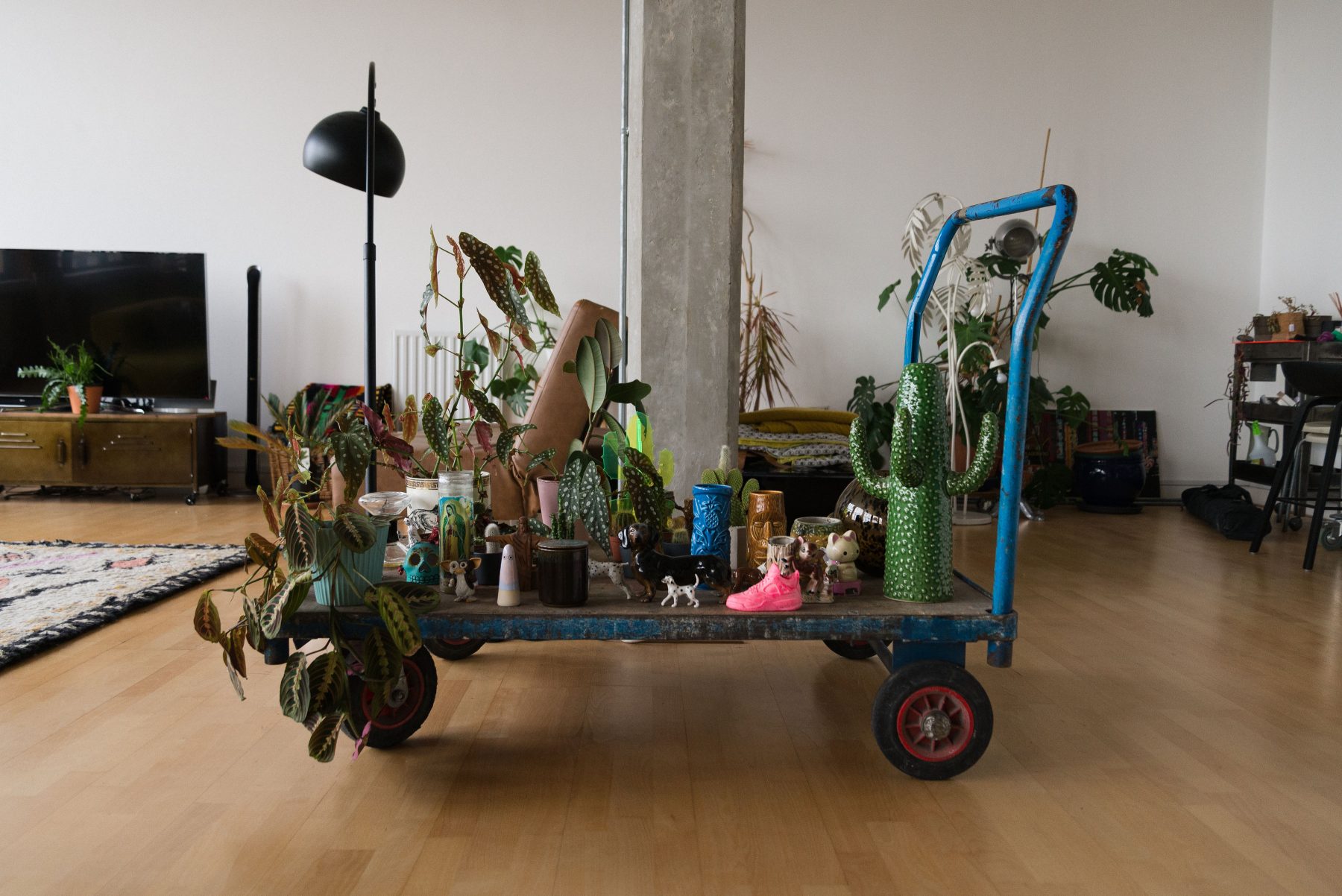 salon avec plantes vertes