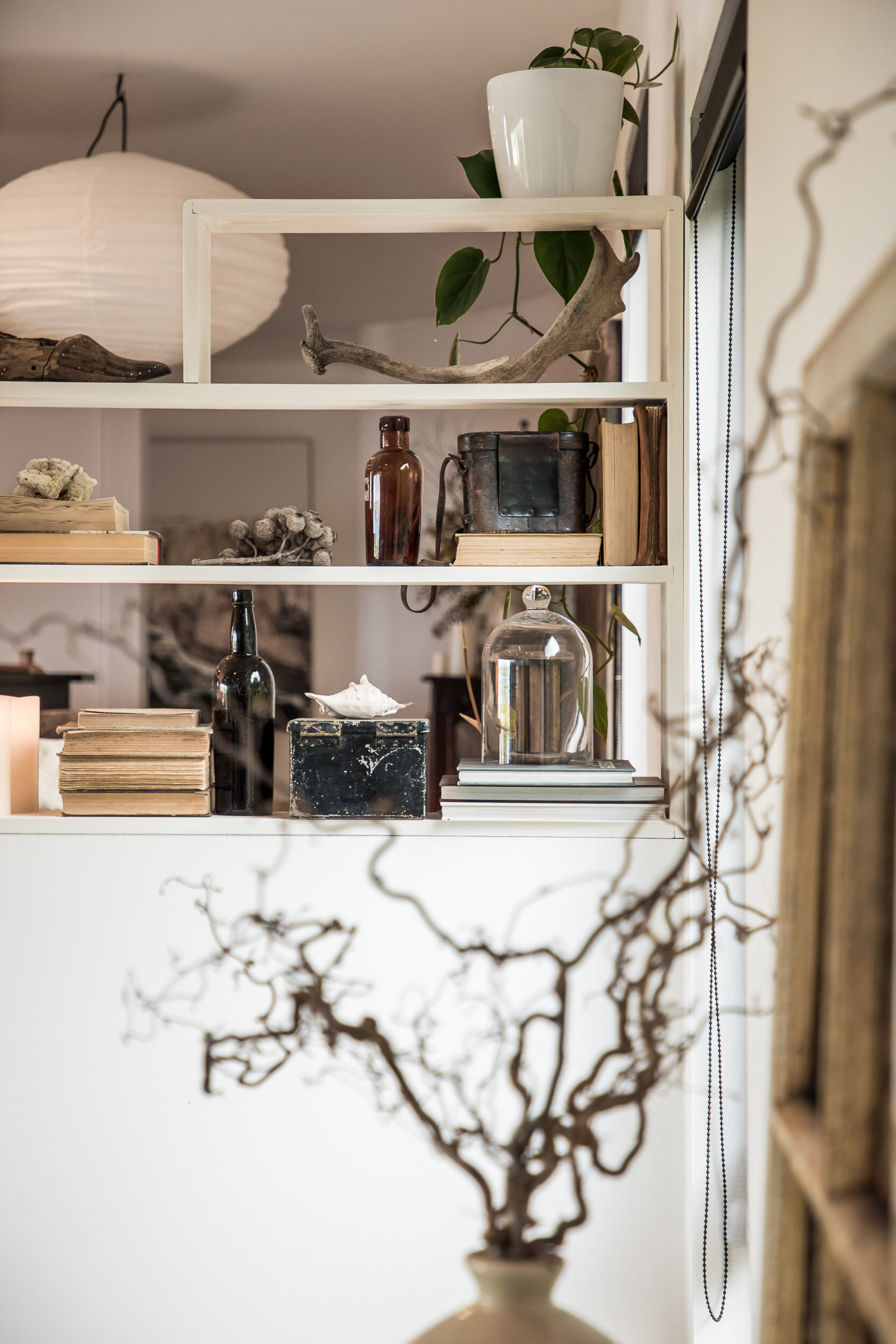 shelfie salon shelfie salon