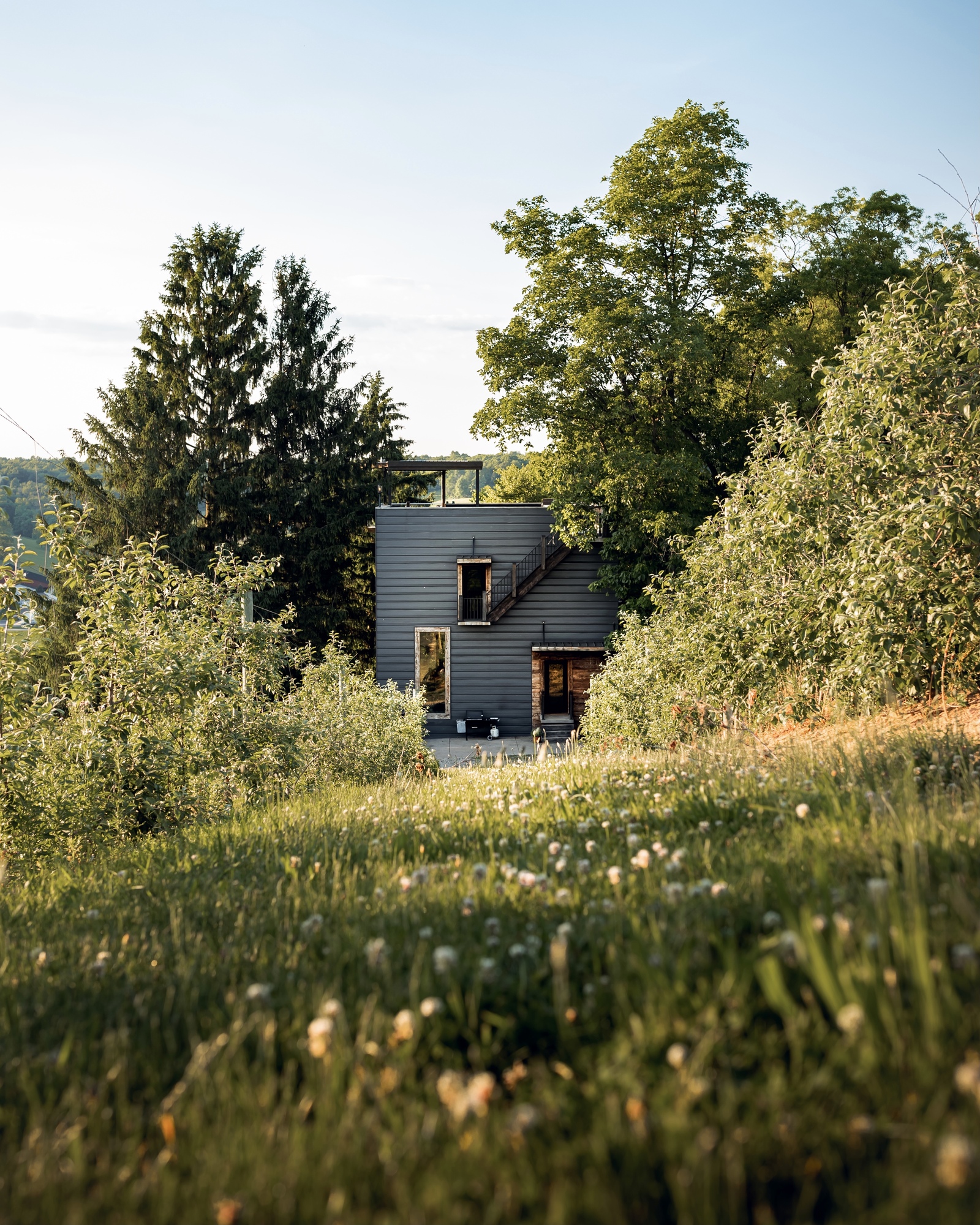 maison cubique