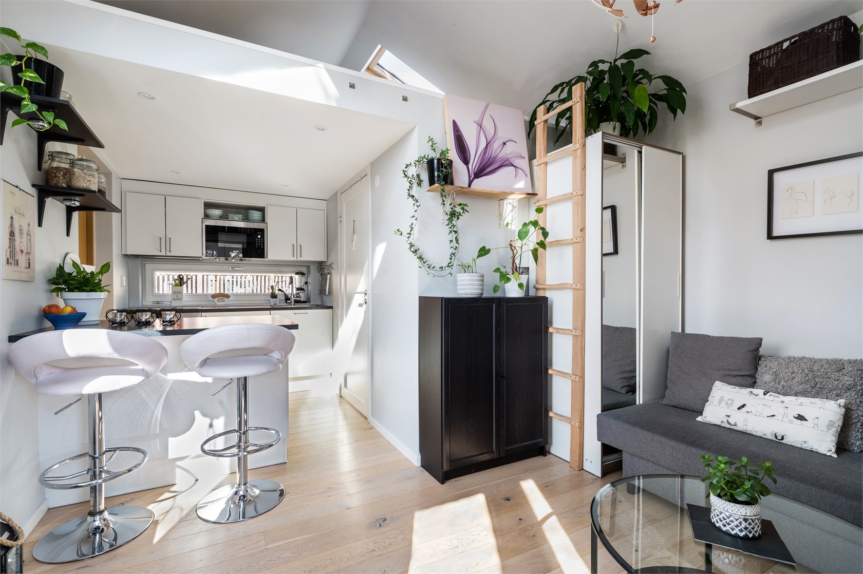 cuisine mini maison de 20m2