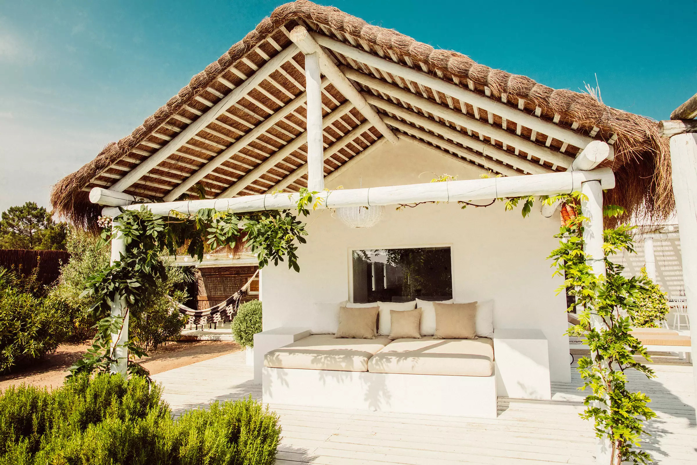 maison blanche entourée d'oliviers Comporta