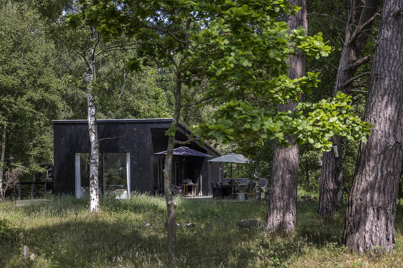 petite maison 65m2