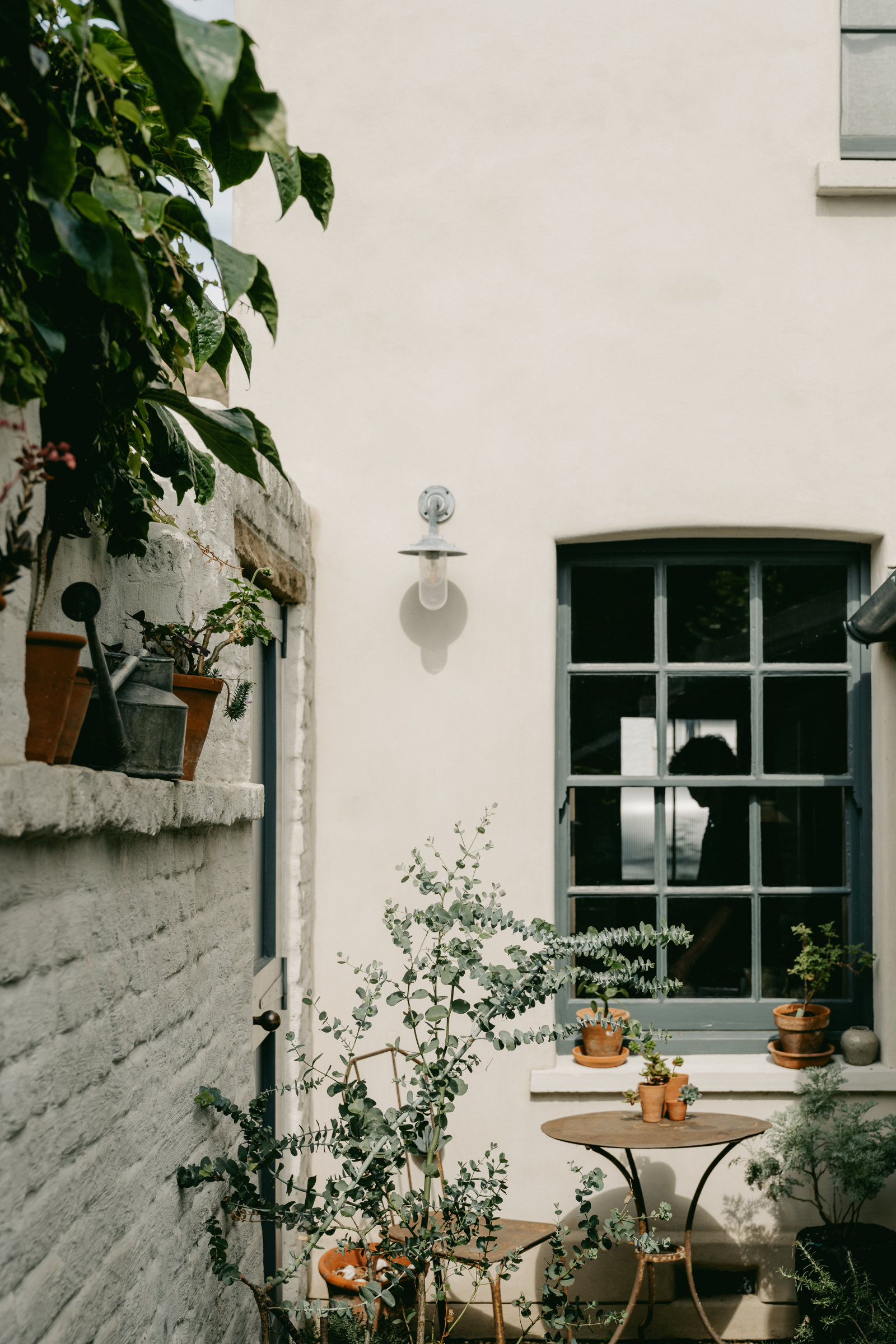 jardin maison de ville