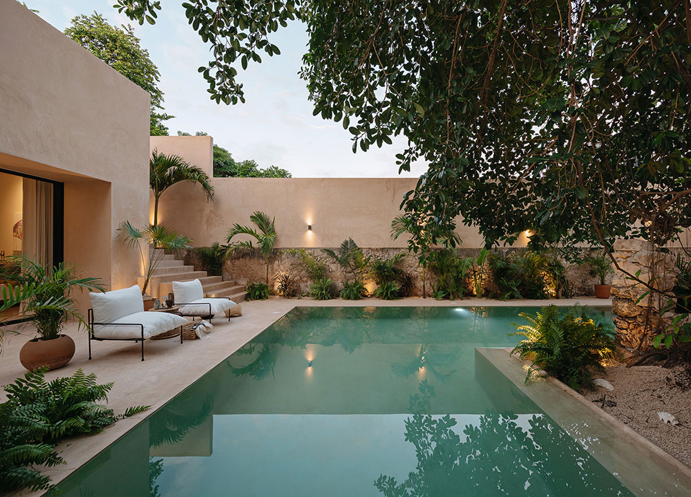 jardin avec piscine