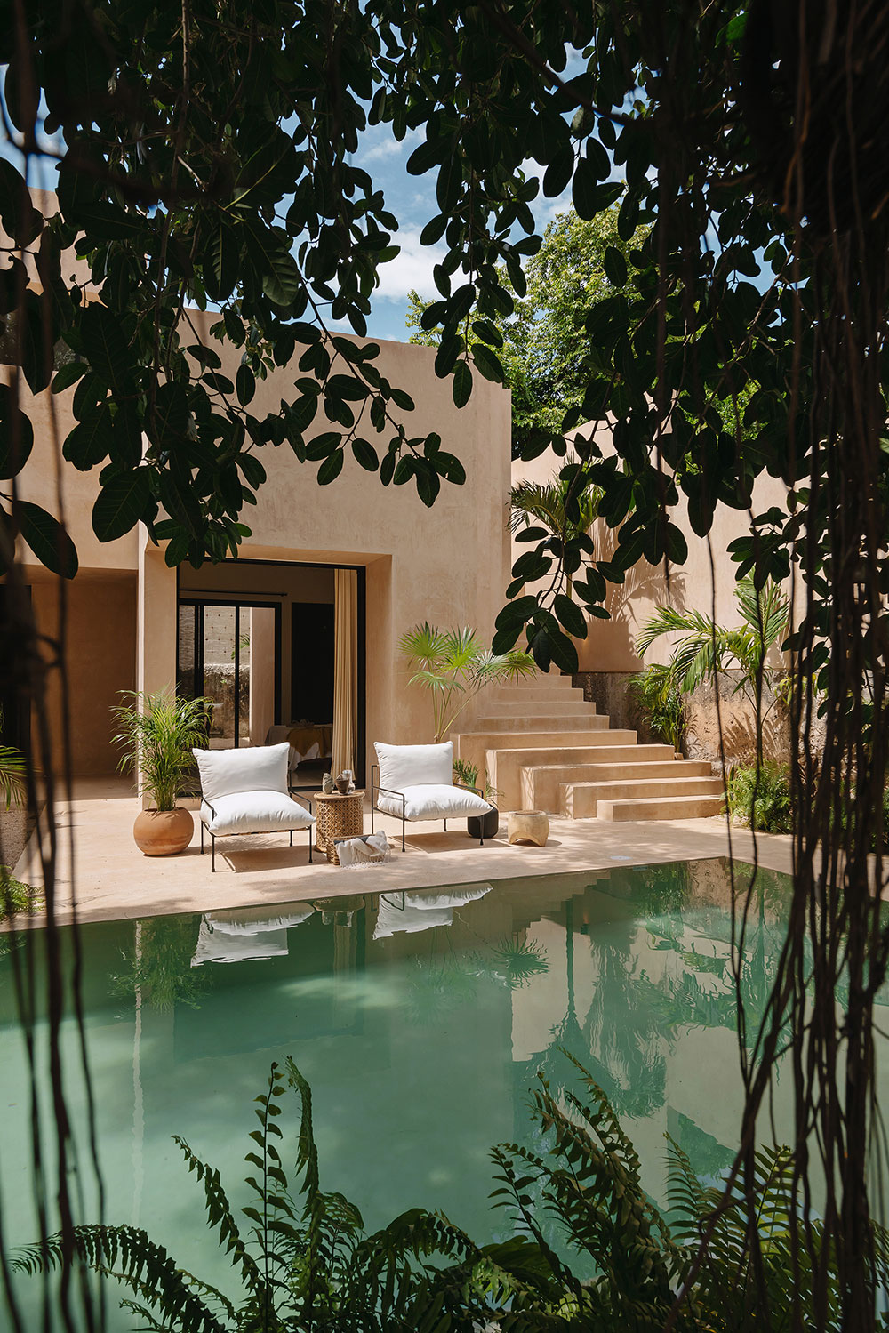 jardin avec piscine