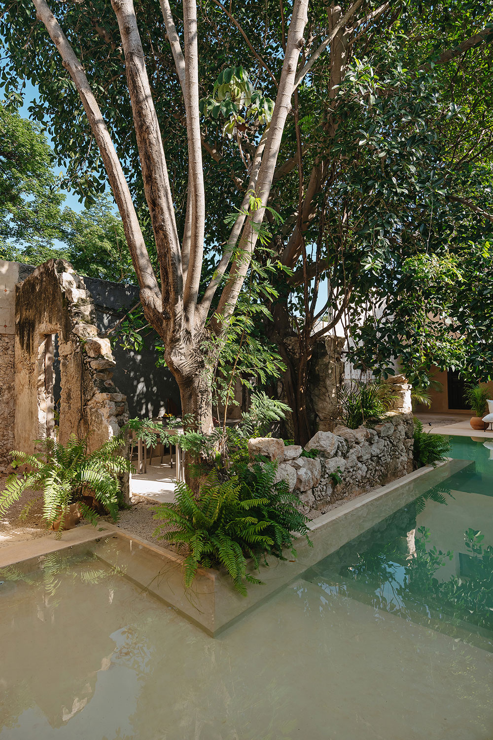 jardin avec piscine