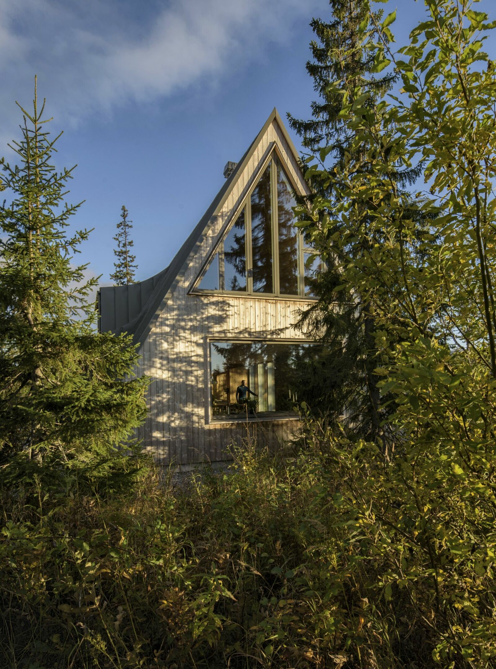 maison A Frame