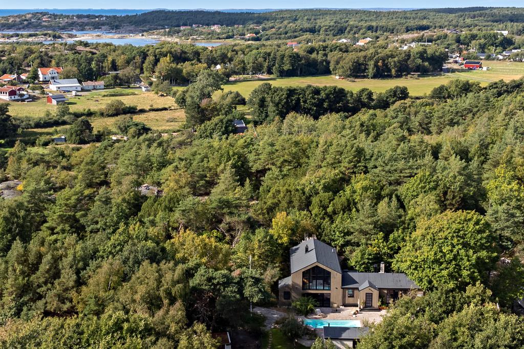 maison en bois avec piscine