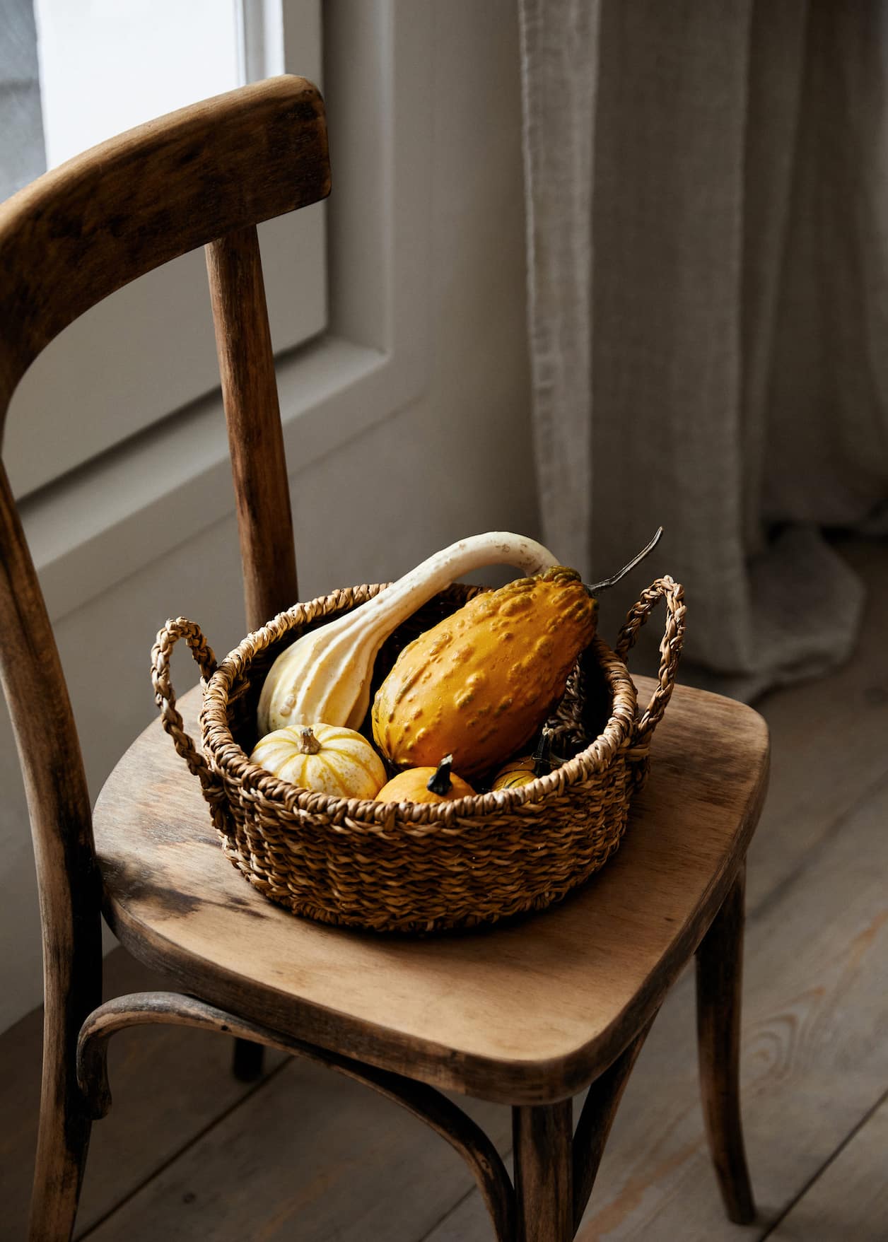 courges dans panier 