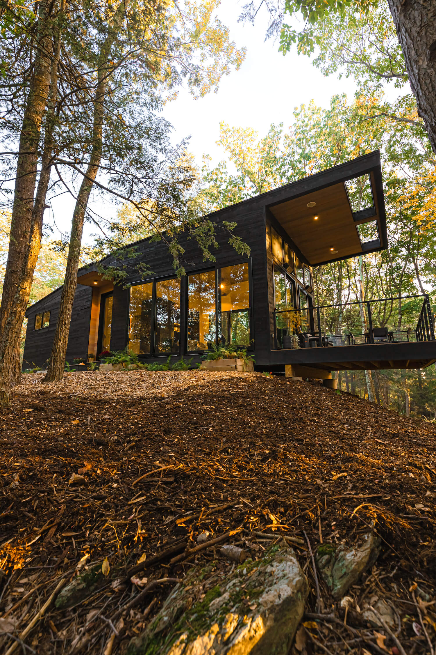 maison en bois noir avec terrasse