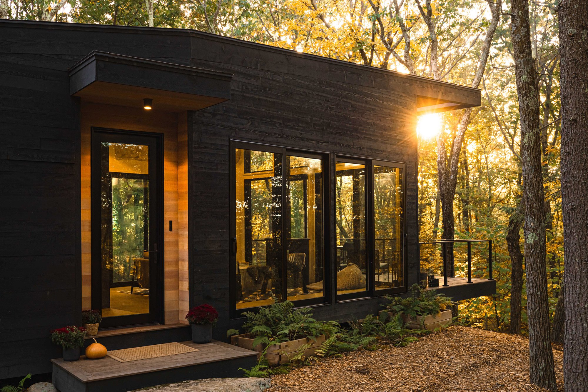 maison en bois noir avec terrasse