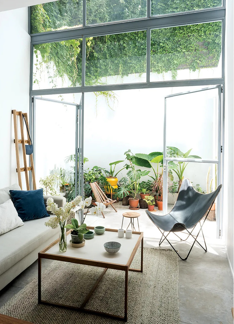 salon maison architecte avec patio