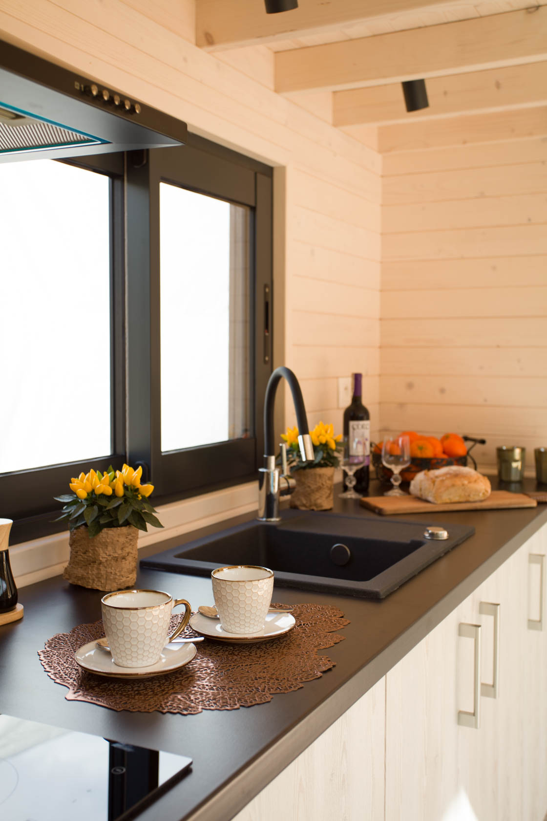 mini maison en bois de 30m2 française Papillon