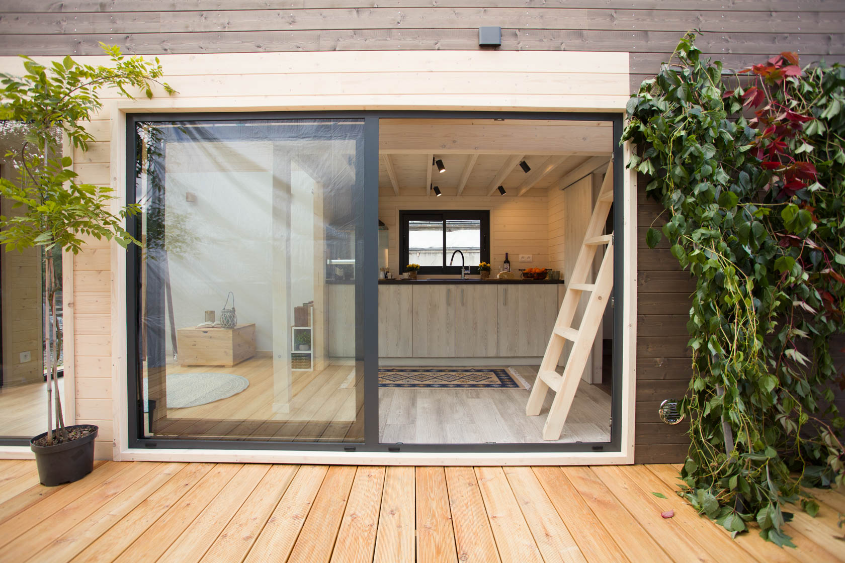 mini maison en bois de 30m2 française Papillon