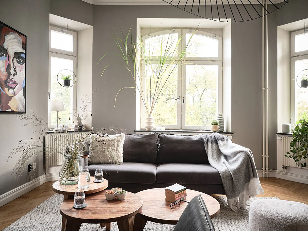 salon studio avec alcôve