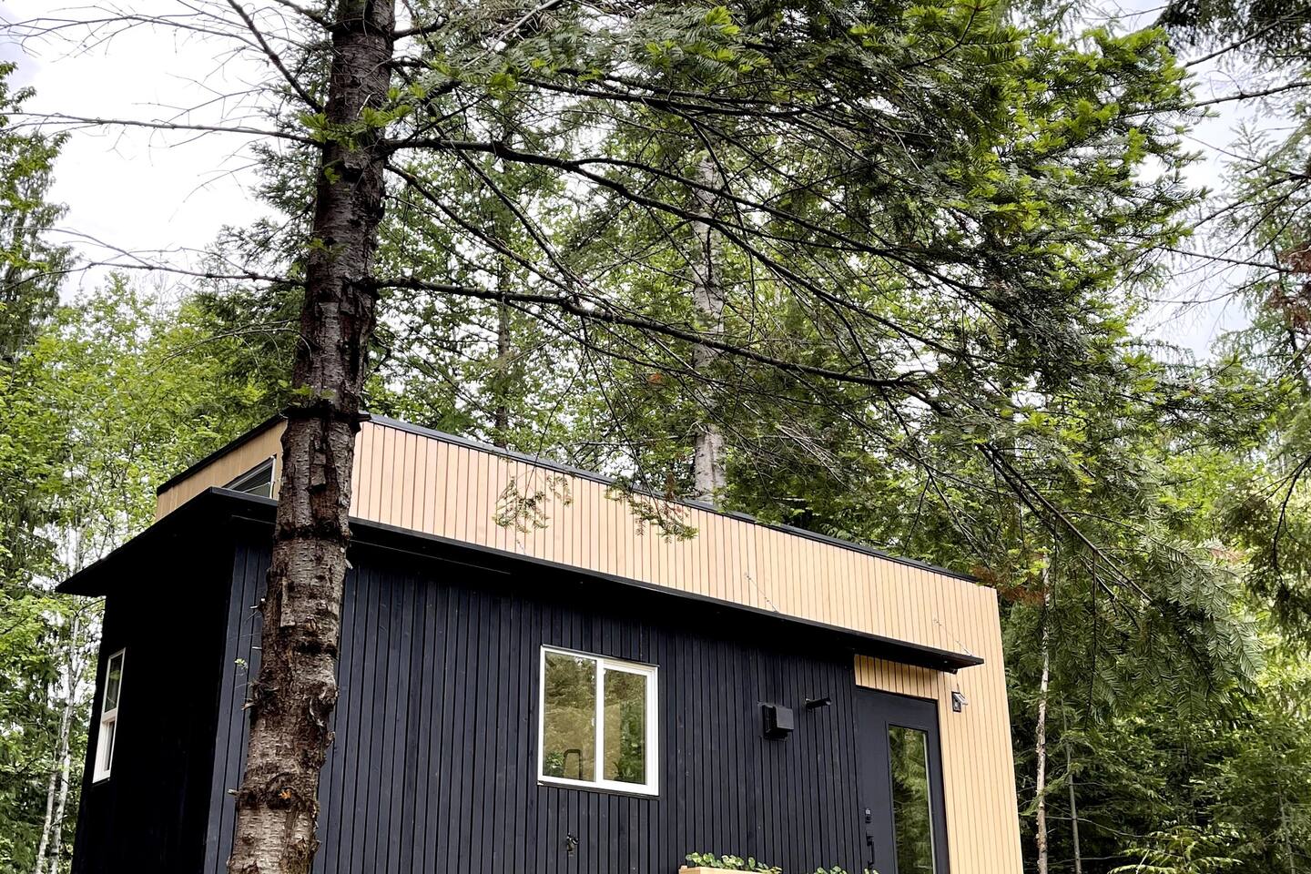 mini maison en bois mini maison en bois