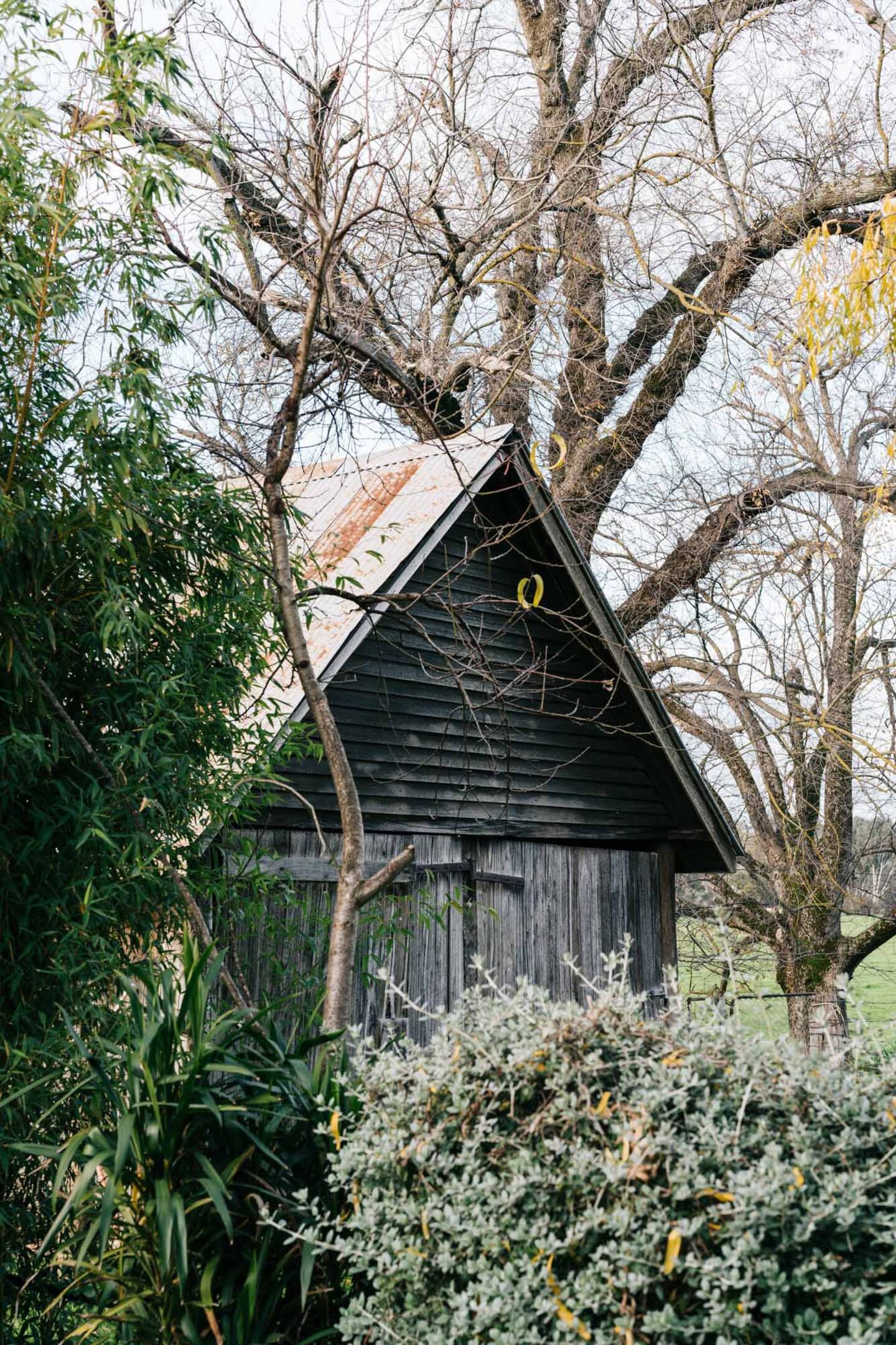 cabane en bois cabane en bois