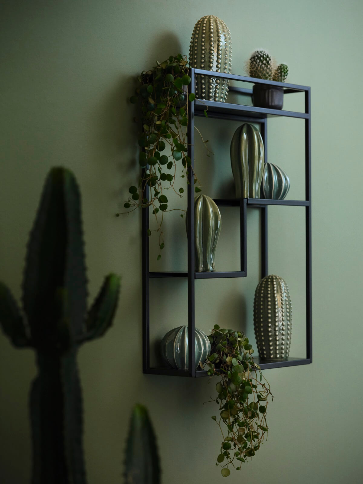 etagère avec céramiques cactus etagère avec céramiques cactus
