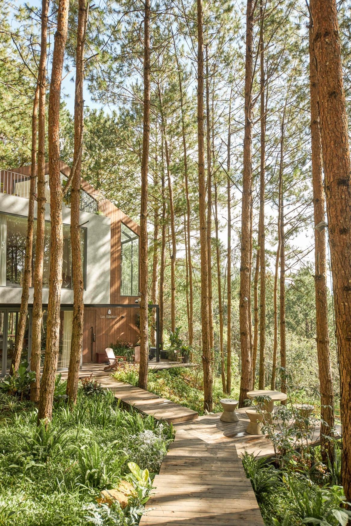 maison contemporaine en bois Vietnam maison contemporaine en bois Vietnam