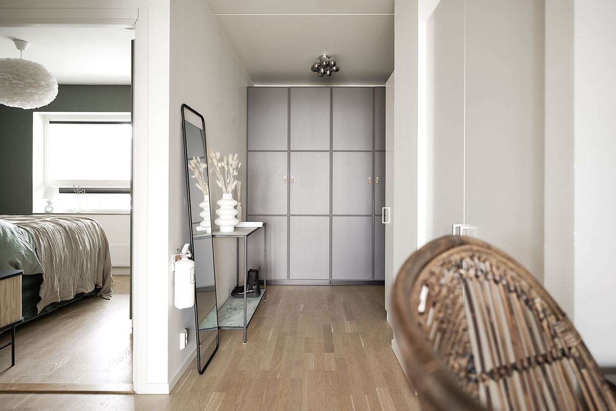 entrée avec placard gris entrée avec placard gris